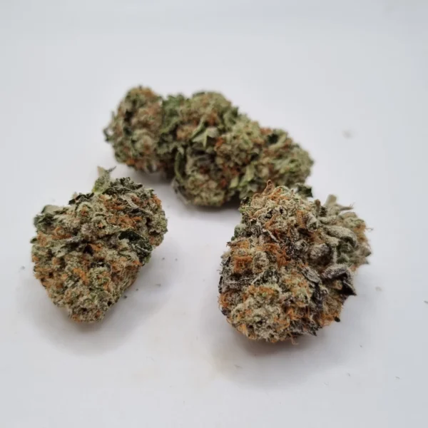 rose-gold-runtz-strain