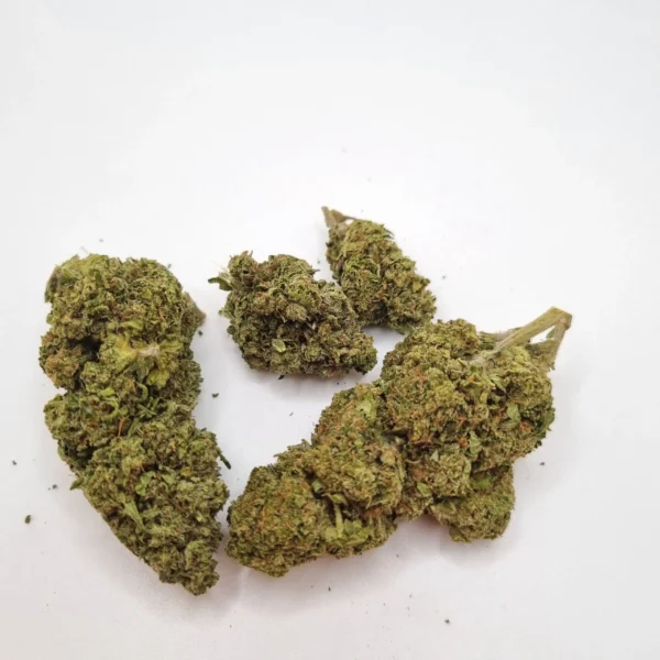 buy-biscotti-gelato-strain-online-uk