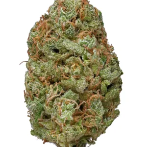 Buy Bubble Gum Online in the UK