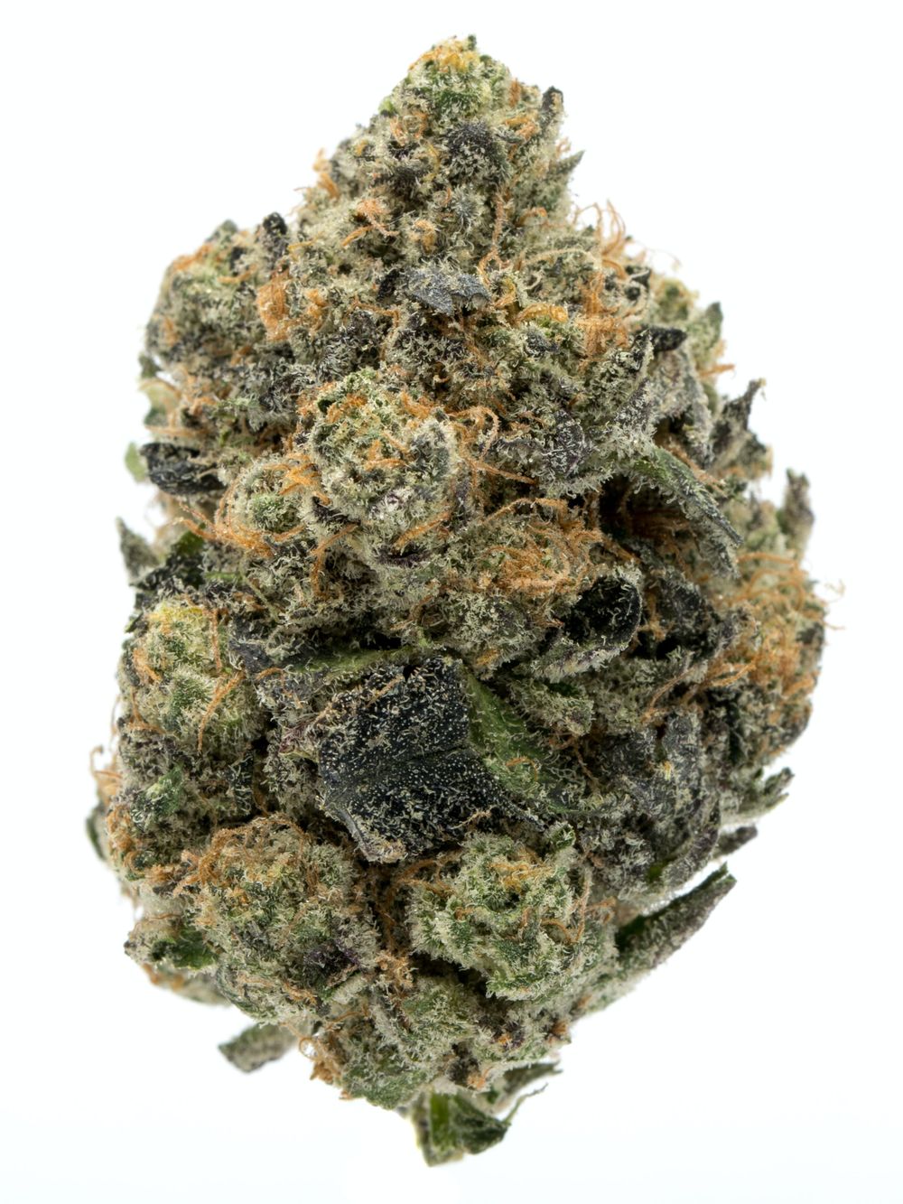 girl-scout-cookies-weed