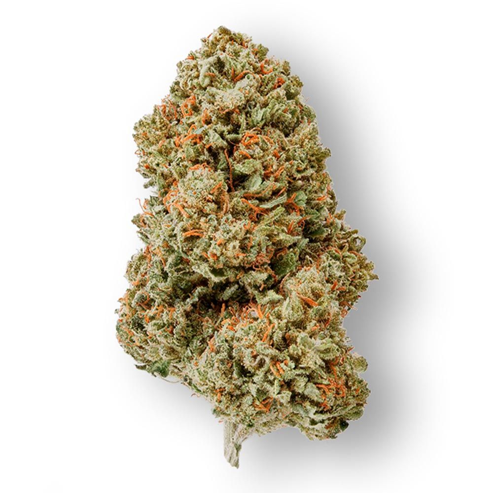 super-silver-haze-weed